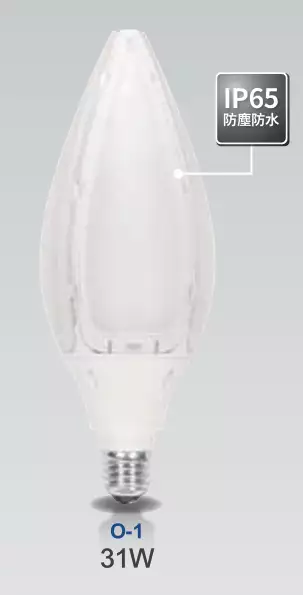 亮博士 LED玉蘭燈挑高